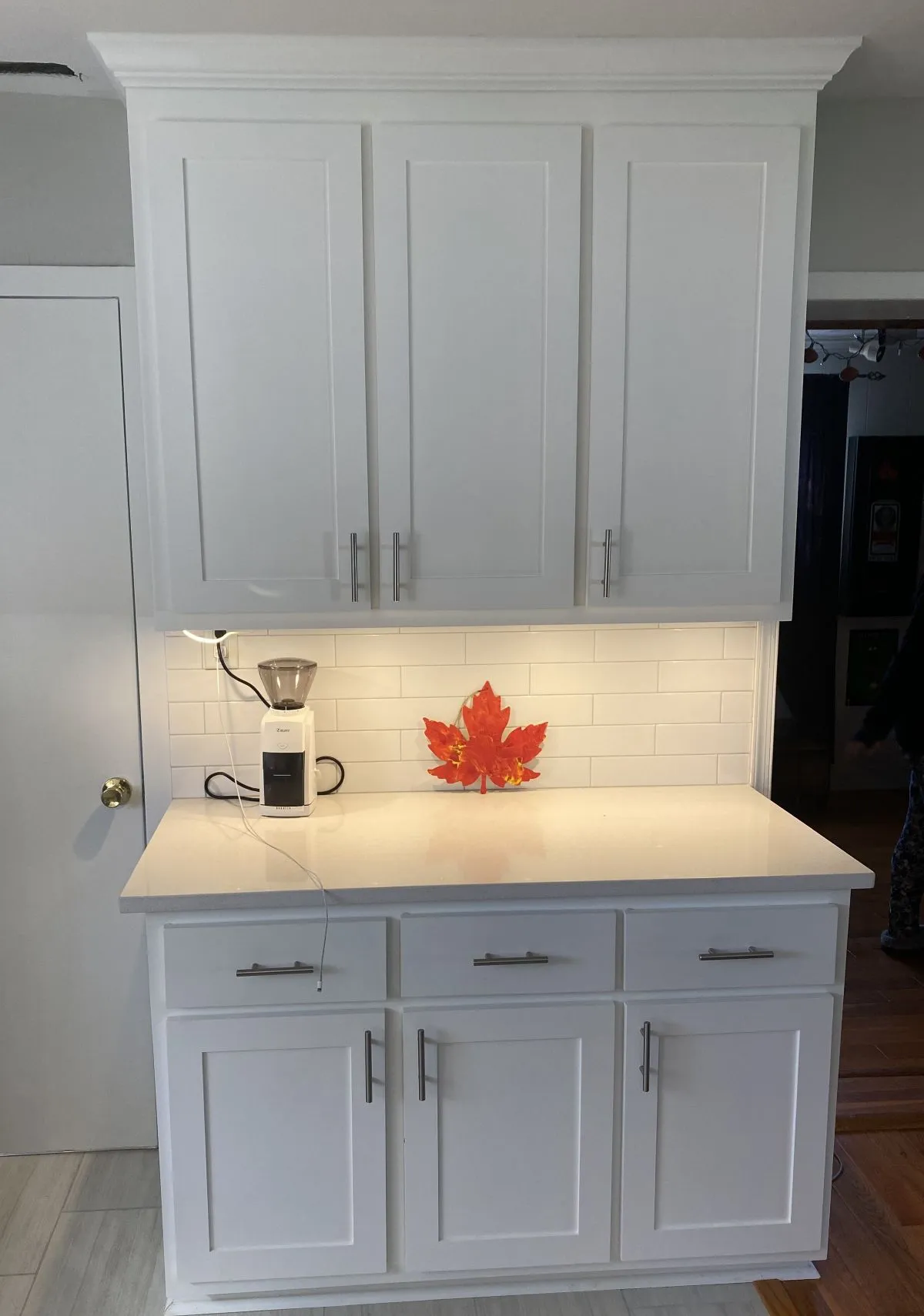 White cabinets with undercabinet lighting and leaf decor