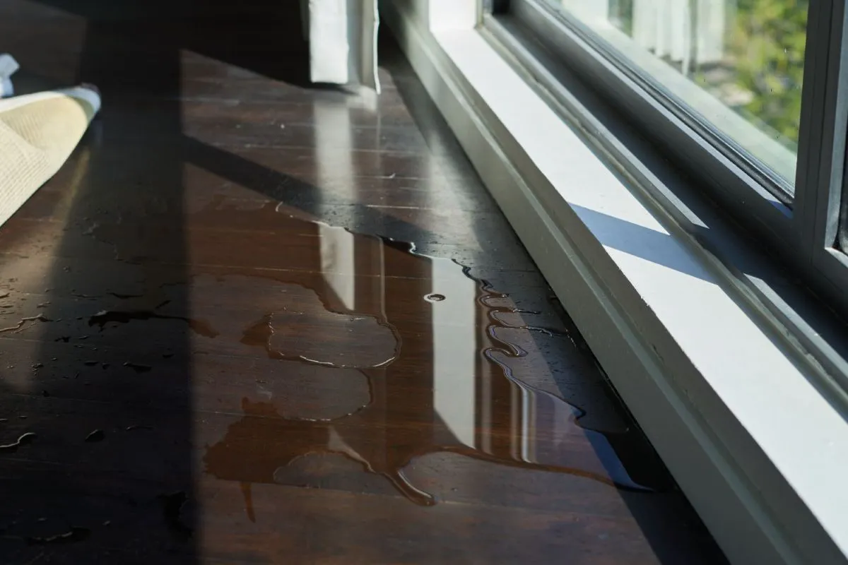 Warped hardwood floor from water damage near window